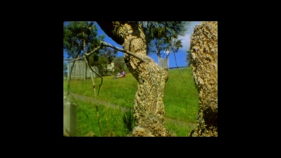 A_Long_Beside_mp40004.jpg