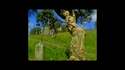 A_Long_Beside_mp40005.jpg