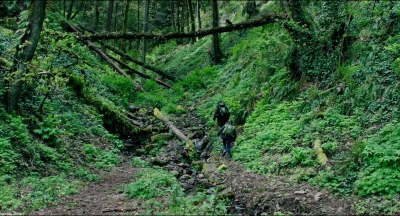Leave_No_Trace_mp43148.jpg