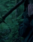 Leave_No_Trace_mp43795.jpg