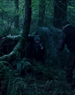 Leave_No_Trace_mp44057.jpg