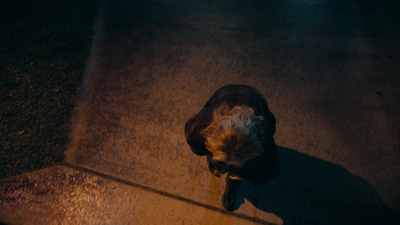 Totally_Completely_Fine_S01E05_mkv2703.jpg