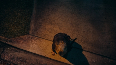 Totally_Completely_Fine_S01E05_mkv2707.jpg