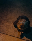 Filename=Totally_Completely_Fine_S01E05_mkv2703.jpg
Filesize=981KiB
Dimensions=1920x1080
Date added=May 10, 2023 Totally_Completely_Fine_S01E05_mkv2703.jpg