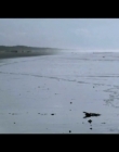 Filename=Existence_Scenereel_mp41294.jpg
Filesize=83KiB
Dimensions=640x360
Date added=Feb 18, 2020 Existence_Scenereel_mp41294.jpg