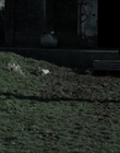 Filename=Existence_mp40823.jpg
Filesize=902KiB
Dimensions=1920x816
Date added=Aug 21, 2021 Existence_mp40823.jpg