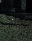 Filename=Existence_mp40824.jpg
Filesize=900KiB
Dimensions=1920x816
Date added=Aug 21, 2021 Existence_mp40824.jpg