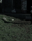Filename=Existence_mp40825.jpg
Filesize=900KiB
Dimensions=1920x816
Date added=Aug 21, 2021 Existence_mp40825.jpg