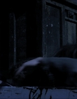 Filename=Existence_mp44450.jpg
Filesize=536KiB
Dimensions=1920x816
Date added=Aug 21, 2021 Existence_mp44450.jpg
