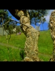 Filename=A_Long_Beside_mp40004.jpg
Filesize=270KiB
Dimensions=1280x720
Date added=Feb 18, 2020 A_Long_Beside_mp40004.jpg
