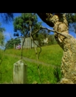 Filename=A_Long_Beside_mp40006.jpg
Filesize=266KiB
Dimensions=1280x720
Date added=Feb 18, 2020 A_Long_Beside_mp40006.jpg
