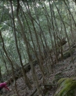 TheBoyfriendGame_28429.jpg