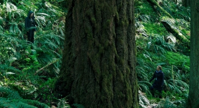 LeaveNoTrace_283429.jpg