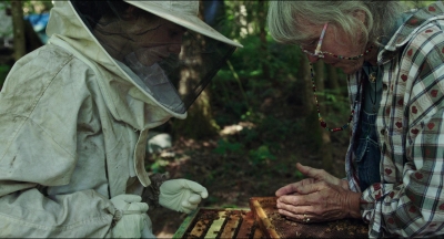 LeaveNoTrace_283729.jpg