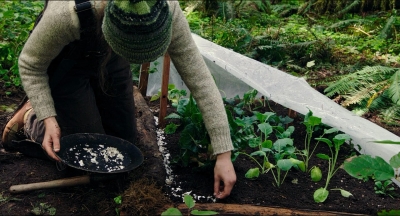 LeaveNoTrace_284629.jpg