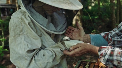 LeaveNoTrace_285229.jpg
