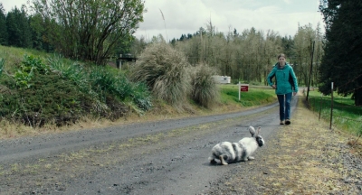 LeaveNoTrace_285829.jpg