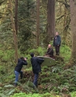 Filename=LeaveNoTrace_28529.jpg
Filesize=3725KiB
Dimensions=2448x3264
Date added=Jan 15, 2020 LeaveNoTrace_28529.jpg