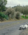 Filename=LeaveNoTrace_285829.jpg
Filesize=313KiB
Dimensions=1918x1037
Date added=Jan 15, 2020 LeaveNoTrace_285829.jpg