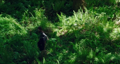 Leave_No_Trace_mp40093.jpg
