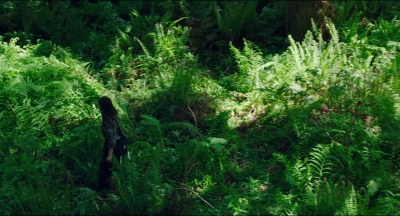 Leave_No_Trace_mp40094.jpg