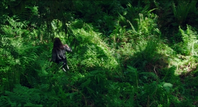 Leave_No_Trace_mp40096.jpg