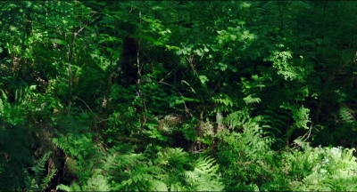 Leave_No_Trace_mp40102.jpg