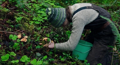 Leave_No_Trace_mp40268.jpg