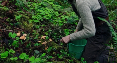 Leave_No_Trace_mp40269.jpg