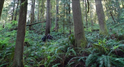 Leave_No_Trace_mp40564.jpg