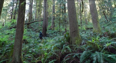 Leave_No_Trace_mp40565.jpg