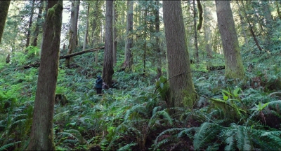 Leave_No_Trace_mp40566.jpg