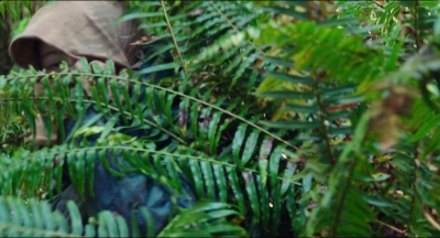 Leave_No_Trace_mp40586.jpg