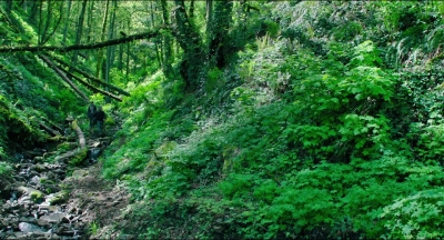 Leave_No_Trace_mp40823.jpg