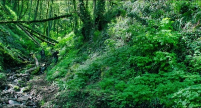 Leave_No_Trace_mp40826.jpg