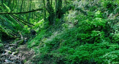 Leave_No_Trace_mp40828.jpg