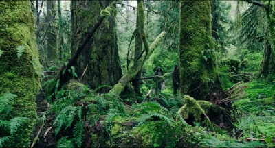 Leave_No_Trace_mp41055.jpg