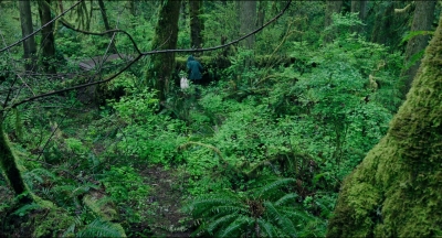 Leave_No_Trace_mp41070.jpg