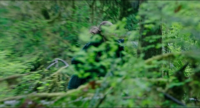 Leave_No_Trace_mp41189.jpg