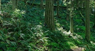 Leave_No_Trace_mp41206.jpg