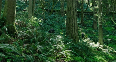 Leave_No_Trace_mp41207.jpg