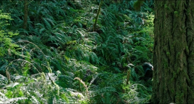 Leave_No_Trace_mp41209.jpg