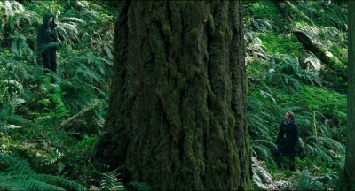 Leave_No_Trace_mp41339.jpg