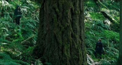 Leave_No_Trace_mp41340.jpg