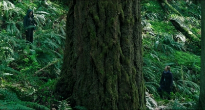 Leave_No_Trace_mp41341.jpg