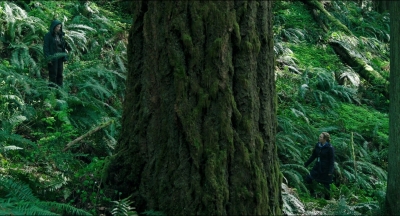 Leave_No_Trace_mp41342.jpg