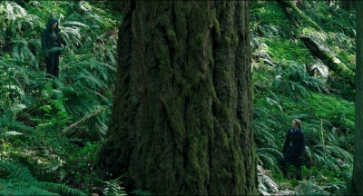 Leave_No_Trace_mp41343.jpg