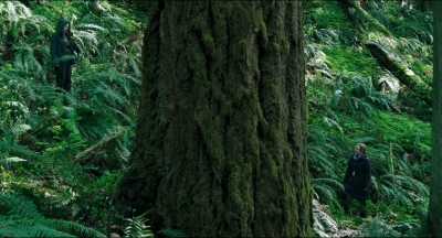 Leave_No_Trace_mp41344.jpg
