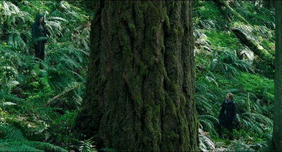 Leave_No_Trace_mp41345.jpg