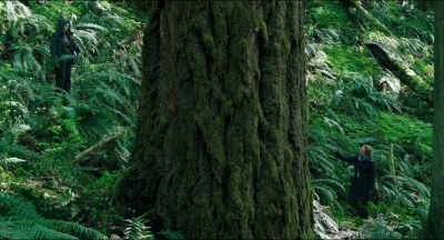 Leave_No_Trace_mp41346.jpg